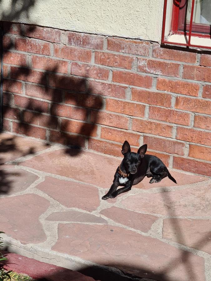 Hostal Iká Chihuahua Exteriér fotografie
